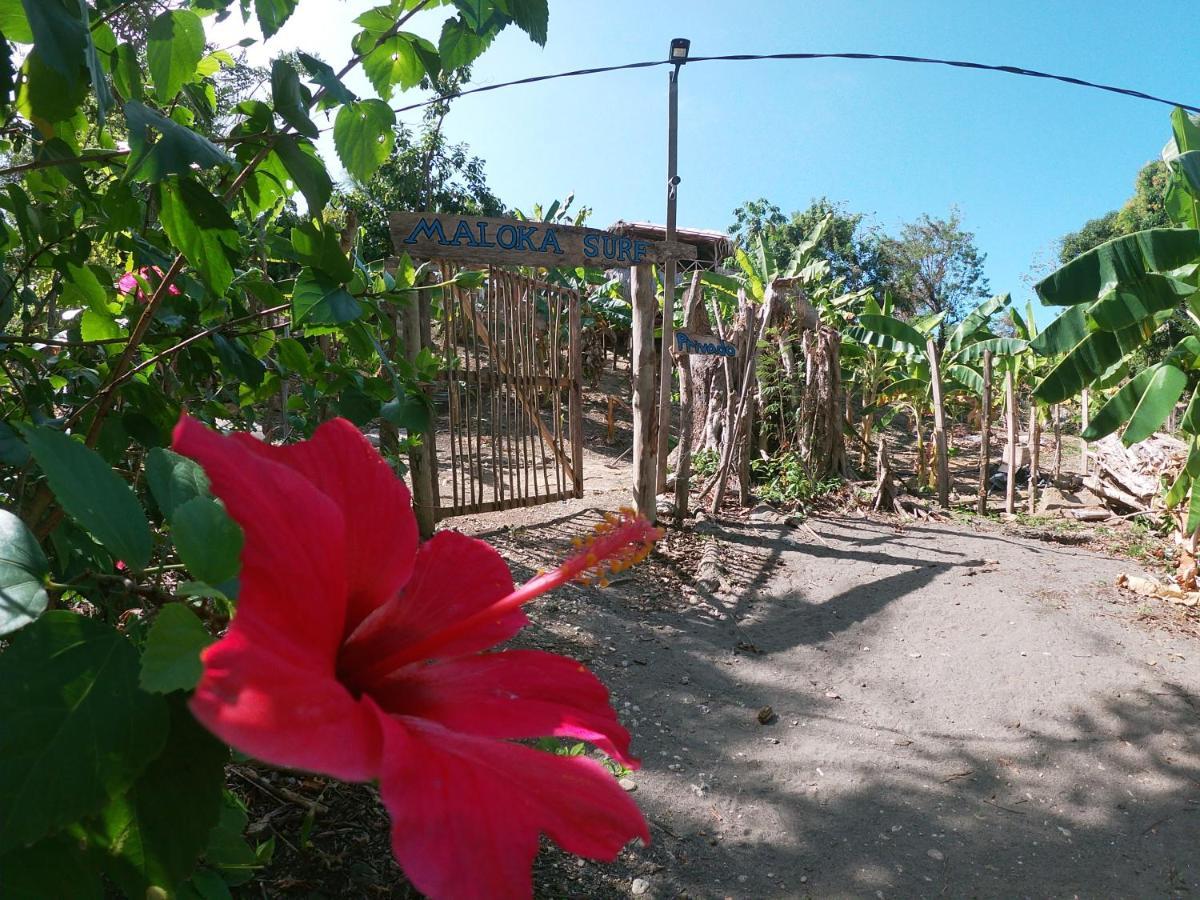 MALOKA SURF ISLA FUERTE - Beachfront Puerto Limon Exterior foto